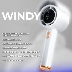 WINDY